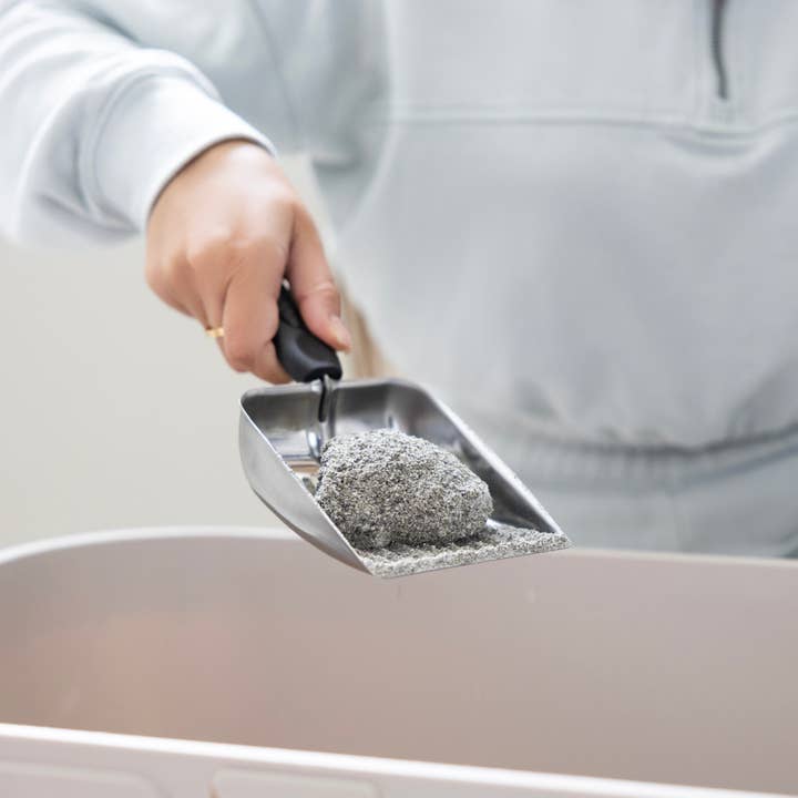 Fox Run Brands - Wholesale Kitchen Tool/Gadget - Fox Run Stainless Steel Cat Litter Scooper, 10"1