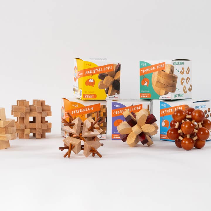 Recent Toys – wholesale Puzzle – Adult – Brain Puzzle No4 Occipital Lobe5