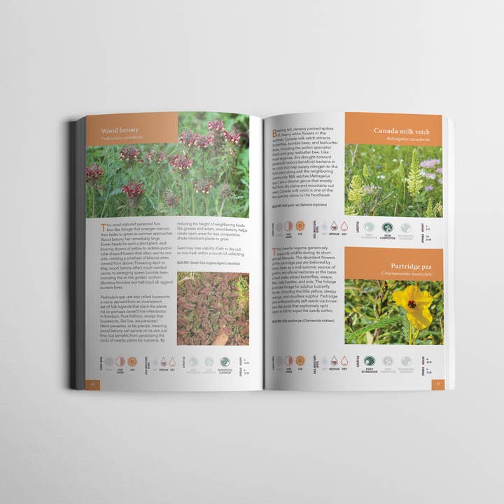 Wild Seed Project - Wholesale Nature and outdoors - Gardening for Biodiversity: Native Plants for the Northeast5