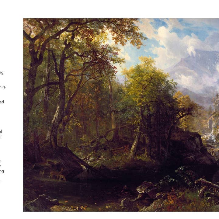 Chrysler Museum of Art - Wholesale Display Book - Chrysler Museum of Art: 40 Works1