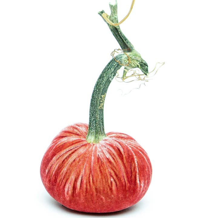 Rhubarb Silk Velvet Pumpkin for wholesale by Hot Skwash