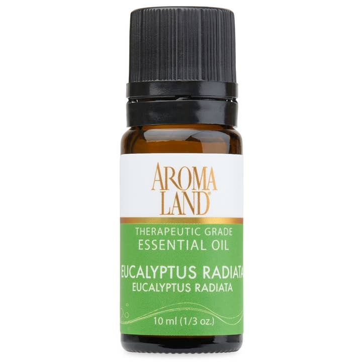 Eucalyptus Radiata Essential Oil for wholesale by AROMALAND INC.
