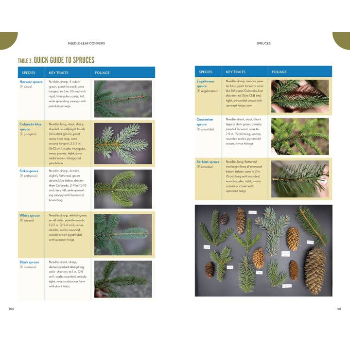 Mountaineers Books - Wholesale Natuur en buitenleven - De bomen om je heen7