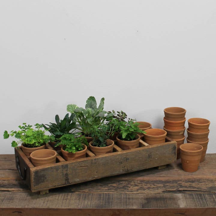 HomArt – Großhandel Blumentopf – Campo Wood Caddy mit 10 Tonbechern