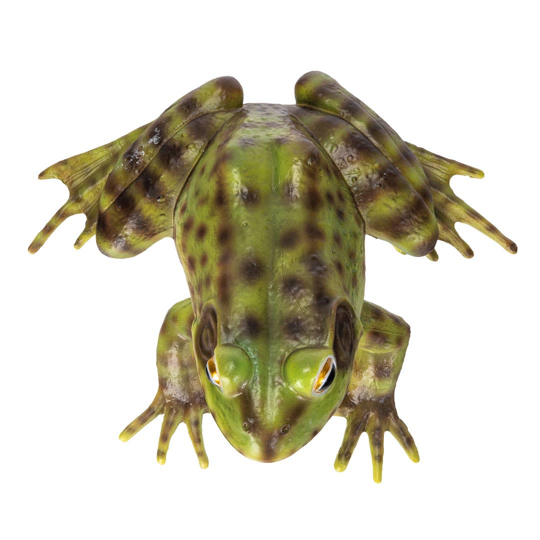 Pacific Trading - Wholesale Decorative Figurine - Frog4