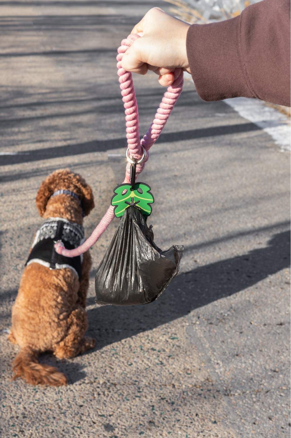 Woof & Wonder – wholesale Bajspåseautomat – Monstera Leaf Poopy Loop® Använd Hållare för Hundbajspåsar1