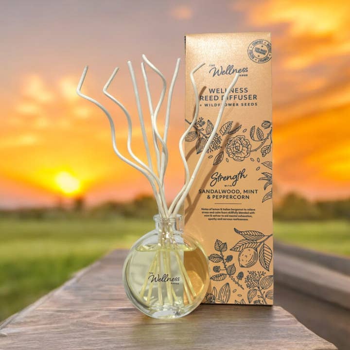 Sandalwood, Mint & Peppercorn - Strength Wellness Diffuser for wholesale by Potters Crouch Candles