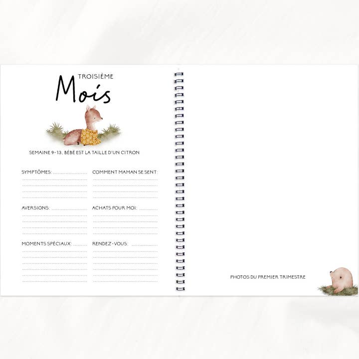 Rainbows&Lollipops Inc - Wholesale Memory Book - Kids & Baby - Journal de Grossesse et Livre de Naissance Unisexe #141