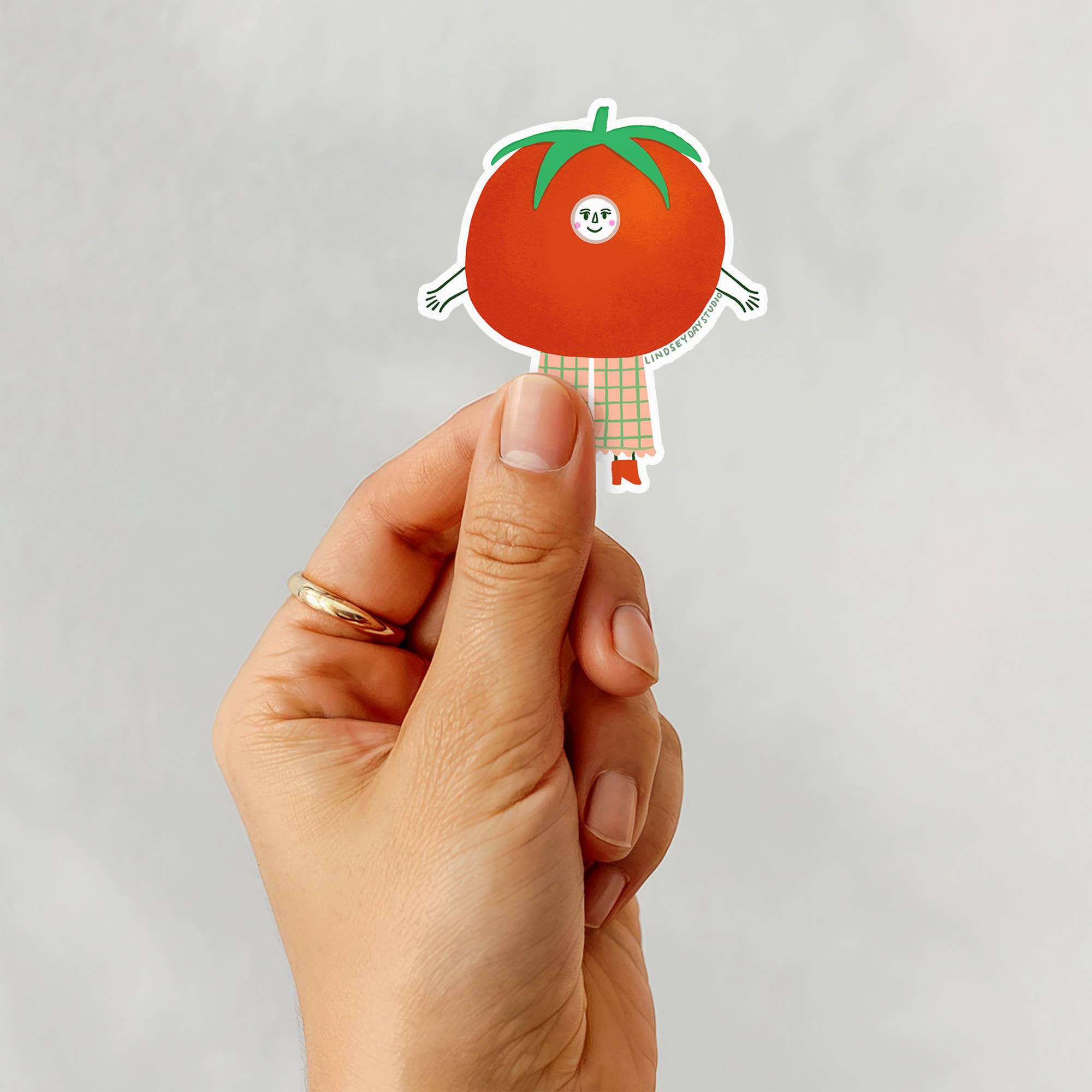 Lindsey Day Studio - Wholesale Sticker - Tammy Tomato Sticker, Funny Sticker, Food Sticker 2