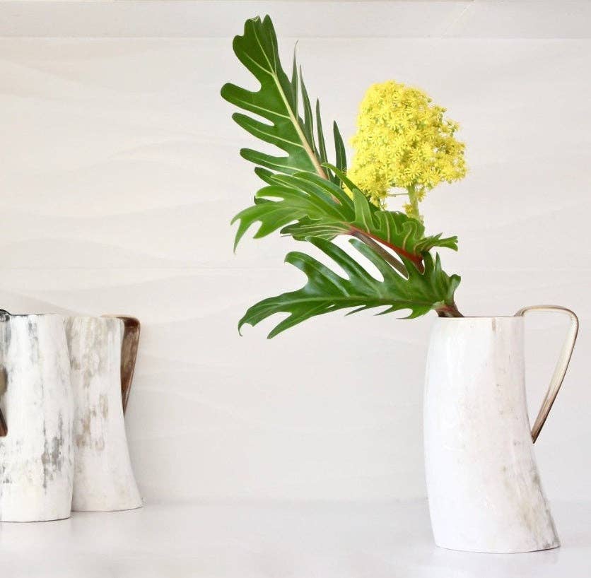 The African Home Goods - Wholesale Beer Glass/Mug - Ankole Cow Horn Beer Mugs / Tumbler Light1