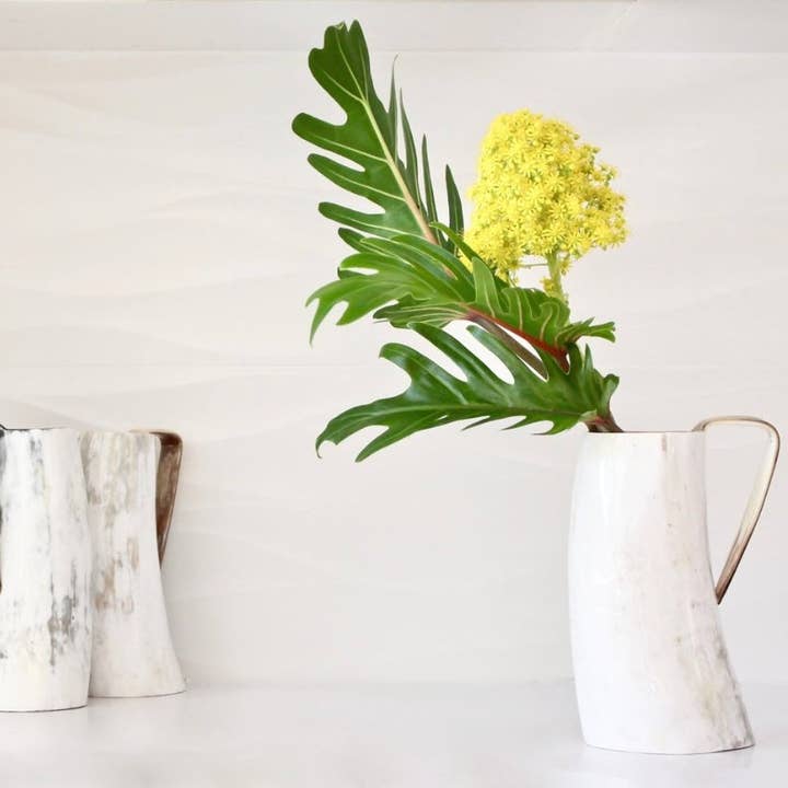 The African Home Goods - Wholesale Beer Glass/Mug - Ankole Cow Horn Beer Mugs / Tumbler Light1