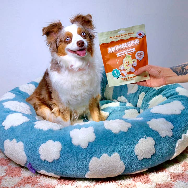 Animalkind - Wholesale Pet Treats - Dog - Freeze-Dried Mango Slices | Healthy & Natural Dog Treats