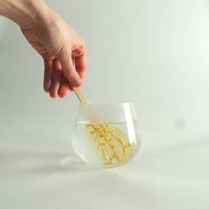 Fleurs d'hiver – wholesale Loose tea – Infusion lolly - Mimosa3