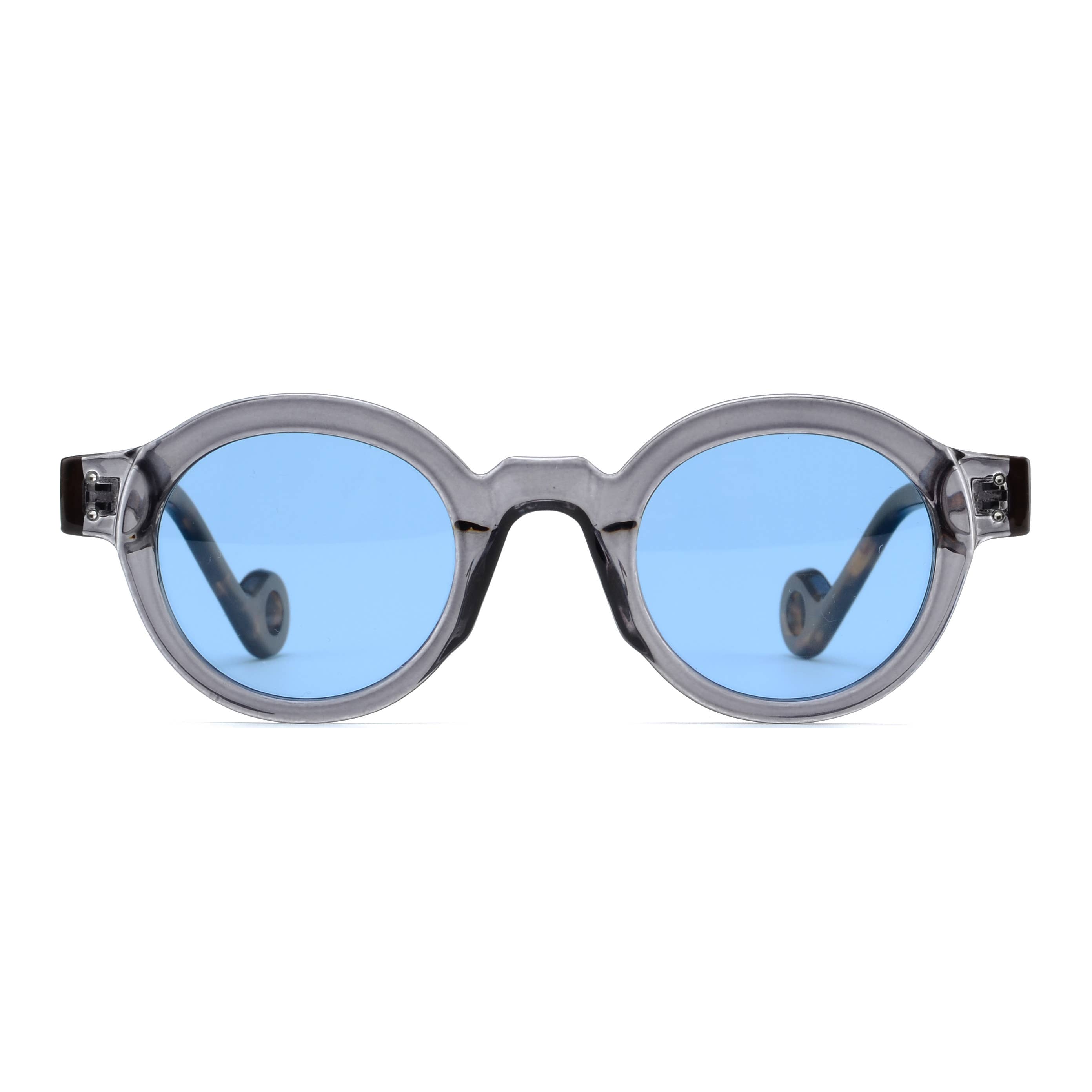 Ryan Simkhai Eyeshop - Wholesale Sunglasses - Women's - DEVAN | Transparent Grey | Tortoise Temples | Blue Lens1