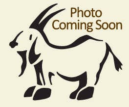 Simple Soaps For Simple Folks – wholesale Bar Soap – Lil Scrubber Turtle - Peach Blossom1