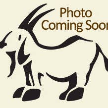 Simple Soaps For Simple Folks – wholesale Bar Soap – Lil Scrubber Turtle - Peach Blossom1