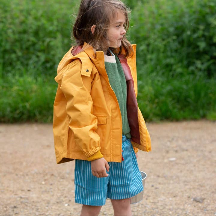 Horizon Blue Striped By The Sea Twill Shorts for wholesale on Faire3