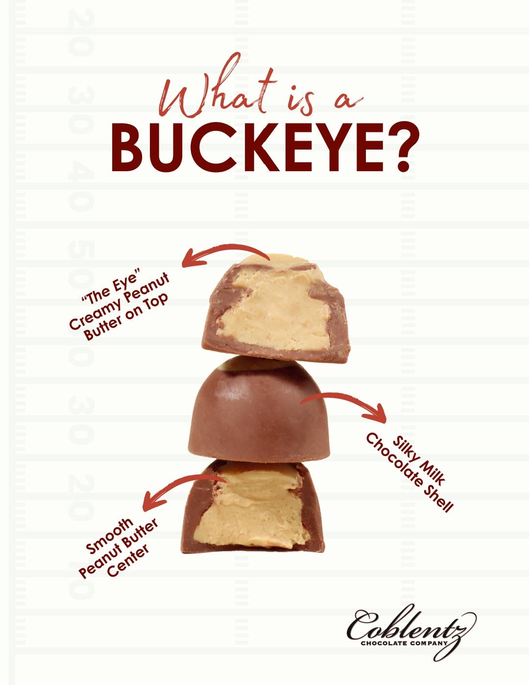 Coblentz Chocolate Company - Vente Friandises enrobées de chocolat - Buckeyes au lait et au beurre de cacahuètes en bouchée 1