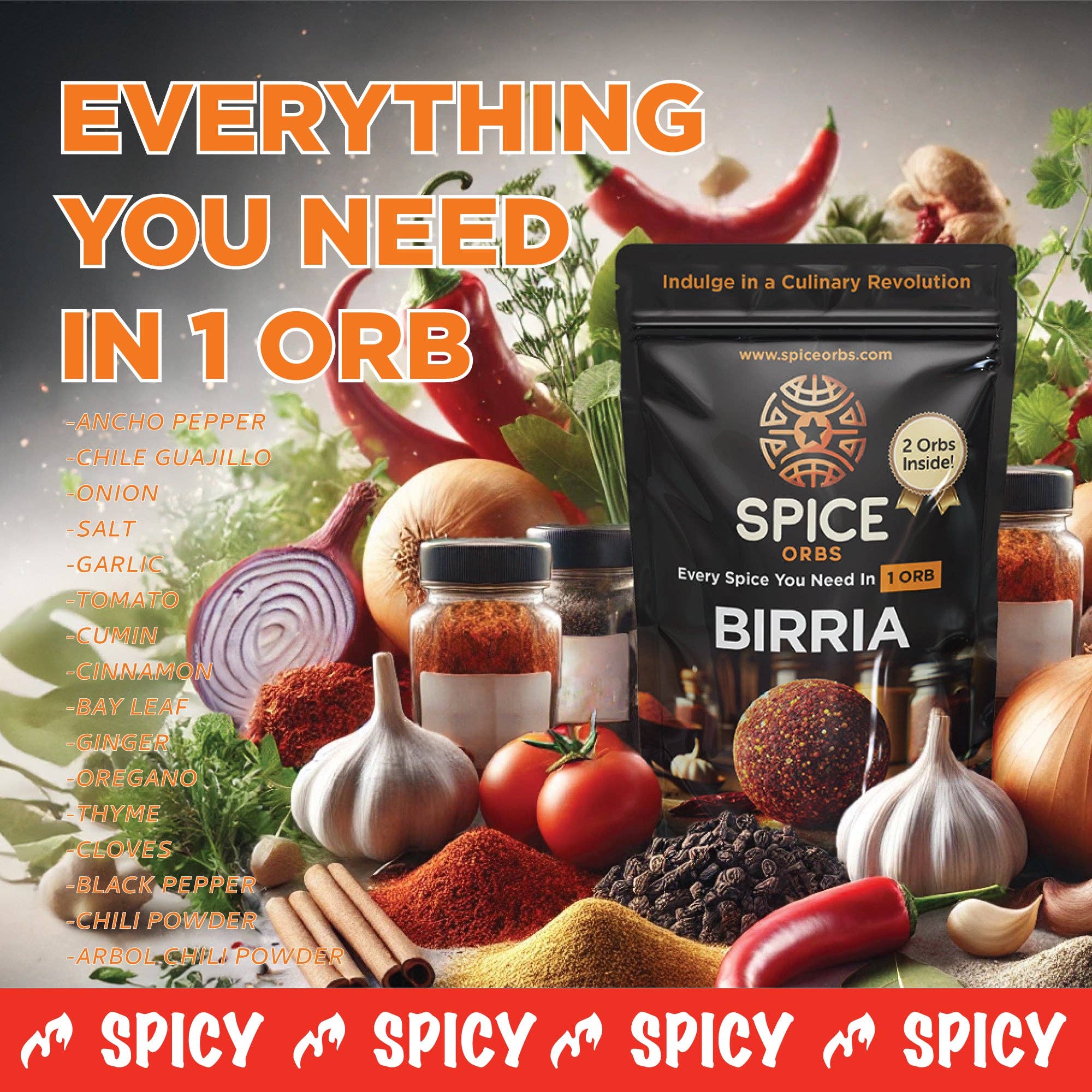 Spice Orbs - Wholesale Dried spice mix - Large SPICY Birria Spice Orbs5