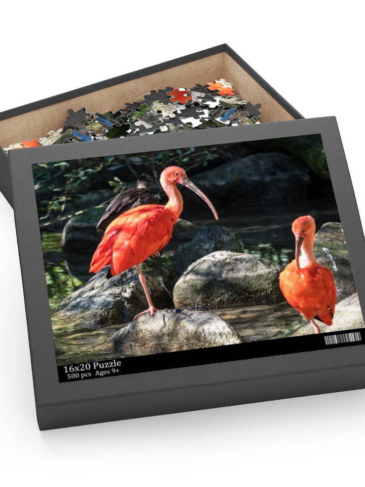 Scarlet Ibis, Guyana Dyreliv puslespil (120, 252, 500-Piece) for engroshandel hos Guyanese Swag