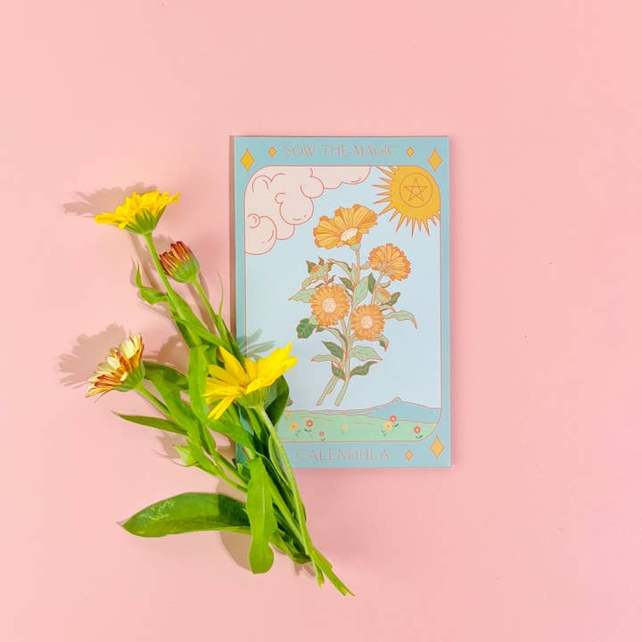 Sow the Magic - Wholesale Plant seeds - Calendula Tarot Seed Packet4