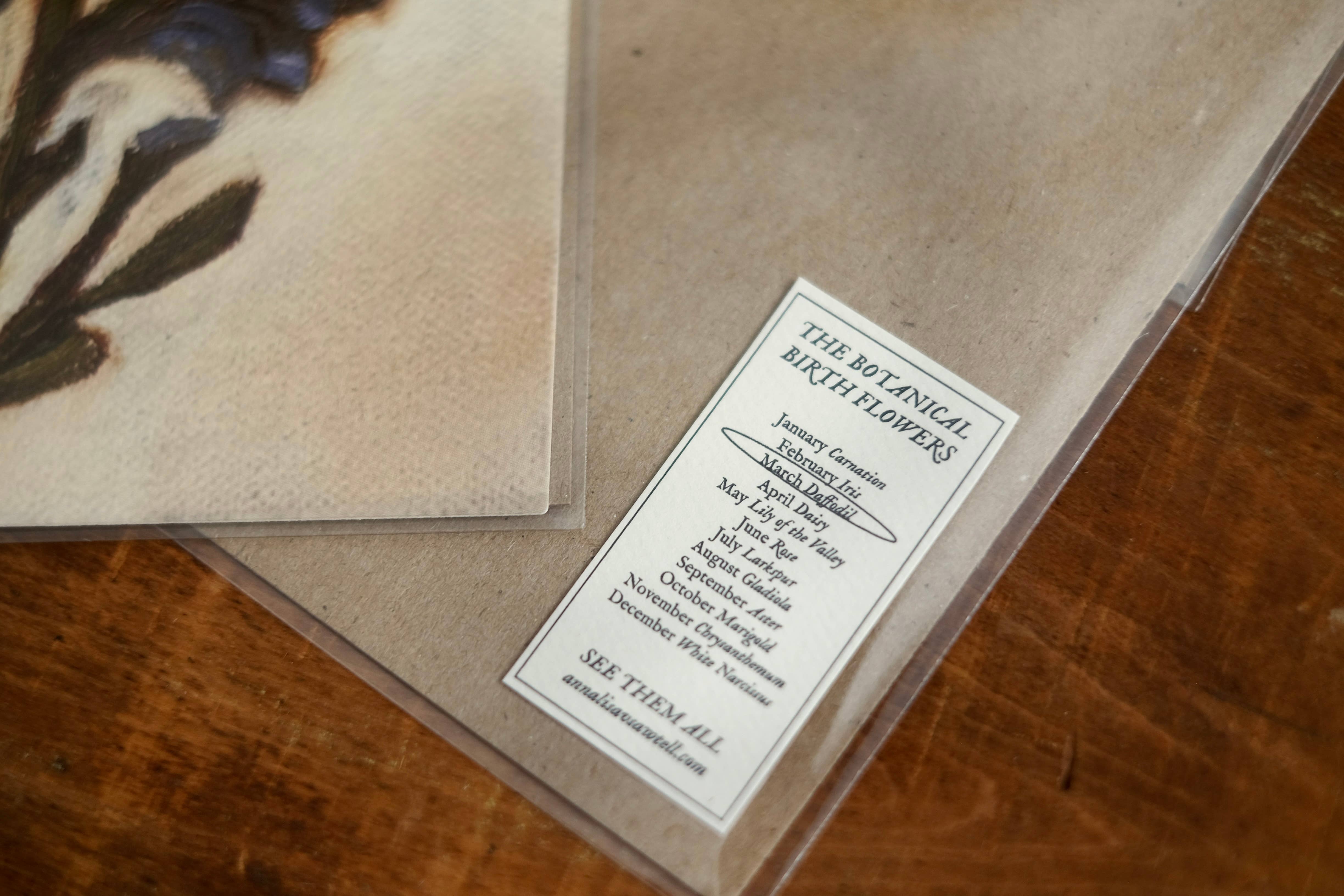 annalisa v. sawtell - Wholesale Art Print - January Birth Flower Fine Art Print | Carnation | 5x73