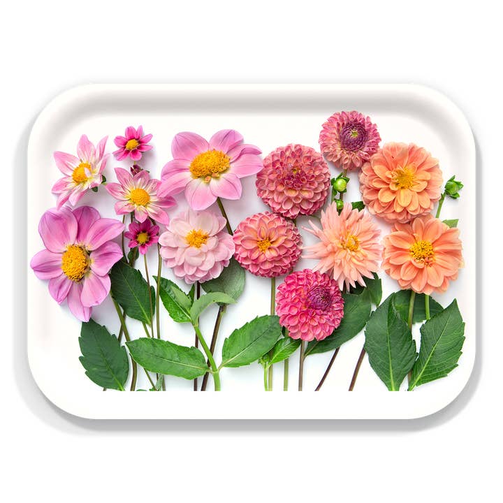 Trays4Us - Wholesale Decorative Tray - Garden Floral Trays by Bottle Branch Botanic Art