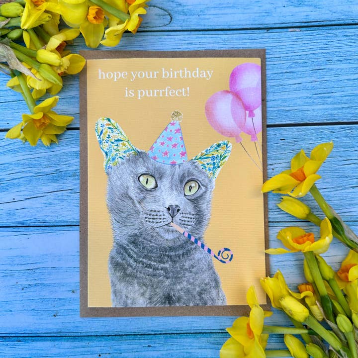 Cat Birthday | Eco Friendly Card Cute Funny Colourful Blank for wholesale by Jen Winnett Eco Artist