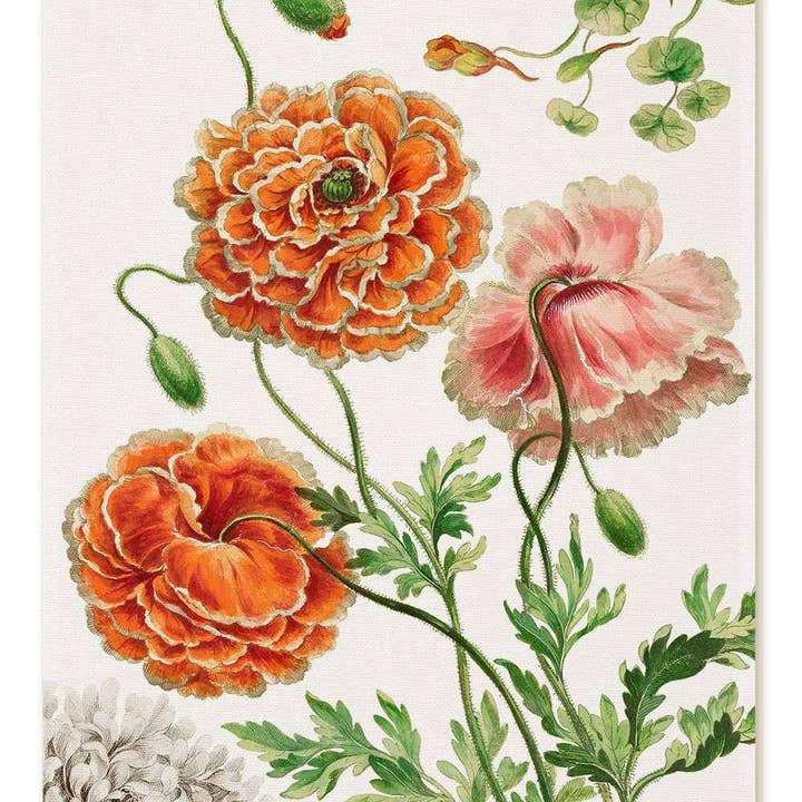 Køkkenhåndklæder «Edward», 100% Fremstillet i Italien for engroshandel hos The Napking