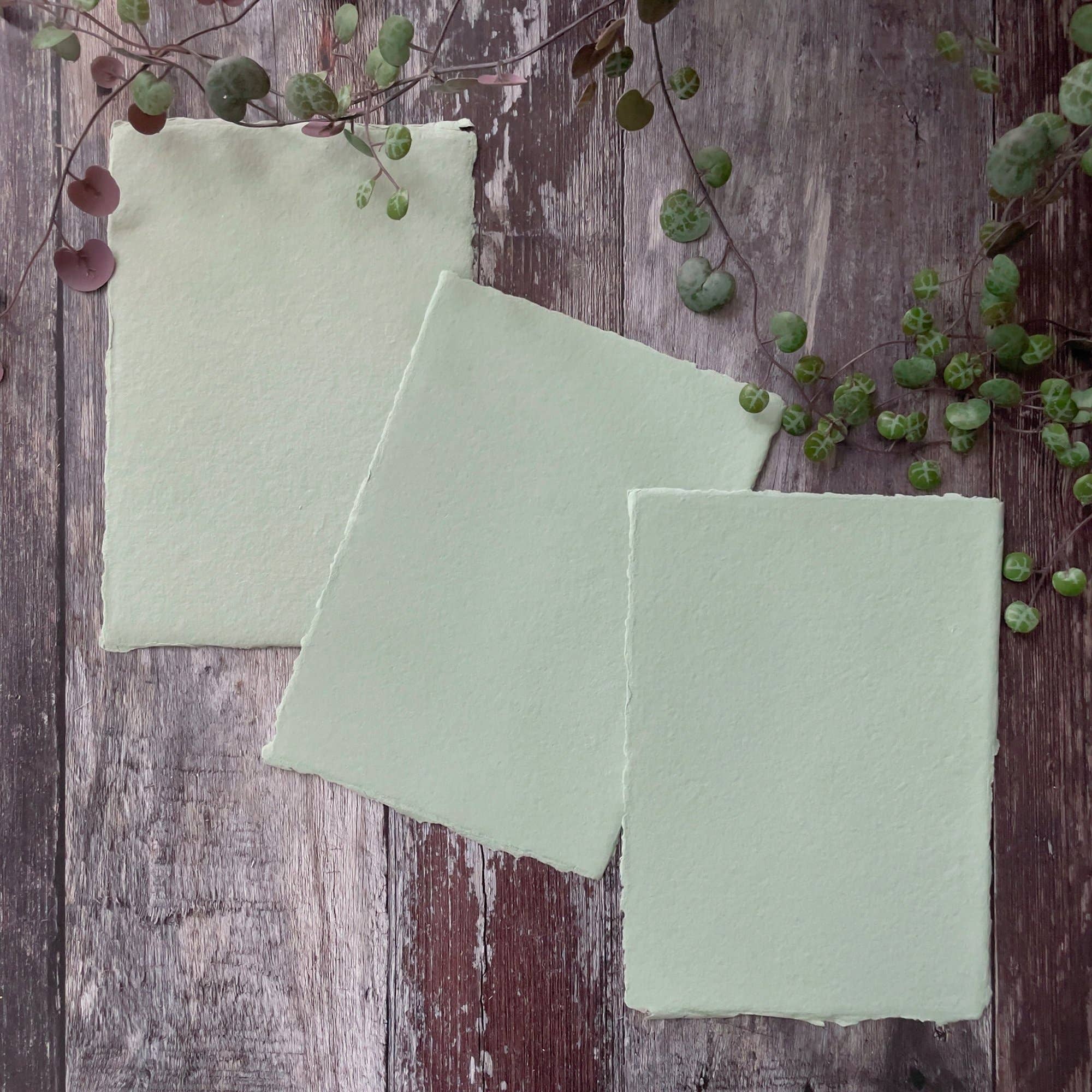 The Natural Paper Company - Wholesale Painting Paper - Dusky Green Handmade Paper | Pack of 5 | Recycled Cotton Rag1