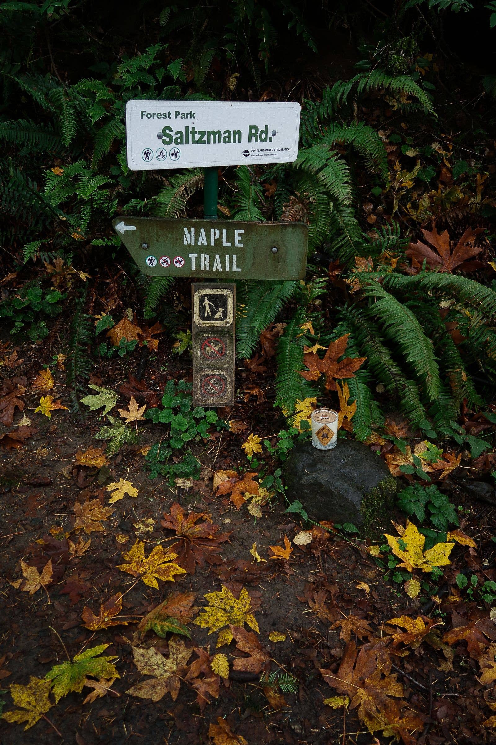 Wildwood Candle Co. - Wholesale Jar/Filled Candle - 11 oz Maple Soy Candle - Sweet Potato Nutmeg Maple Syrup4