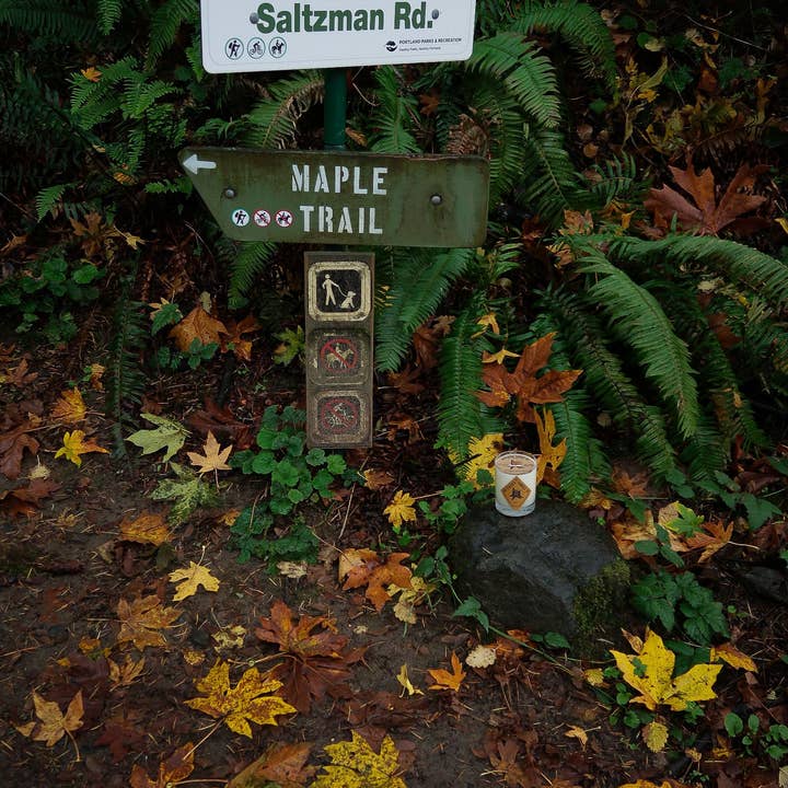 Wildwood Candle Co. - Wholesale Jar/Filled Candle - 11 oz Maple Soy Candle - Sweet Potato Nutmeg Maple Syrup4