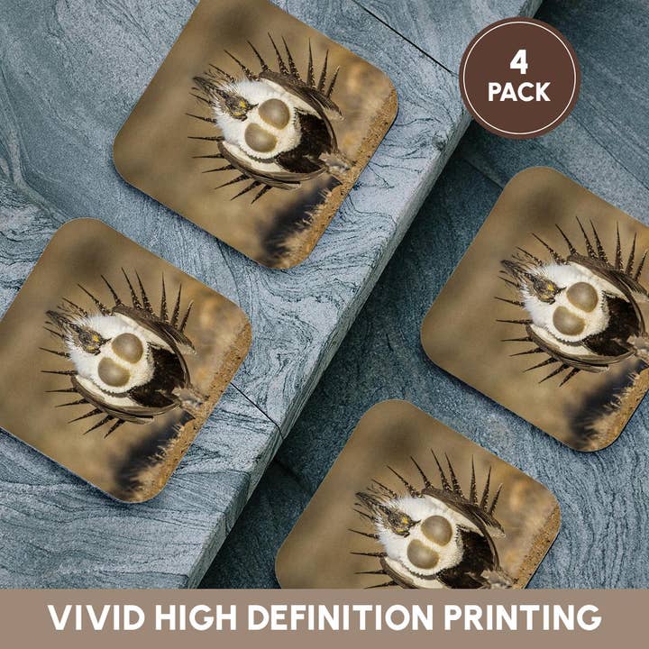 3dRose - Wholesale Coasters - 3dRose, USA, WY. Male Greater Sage Grouse displays on a lek in Spring., Coaster12