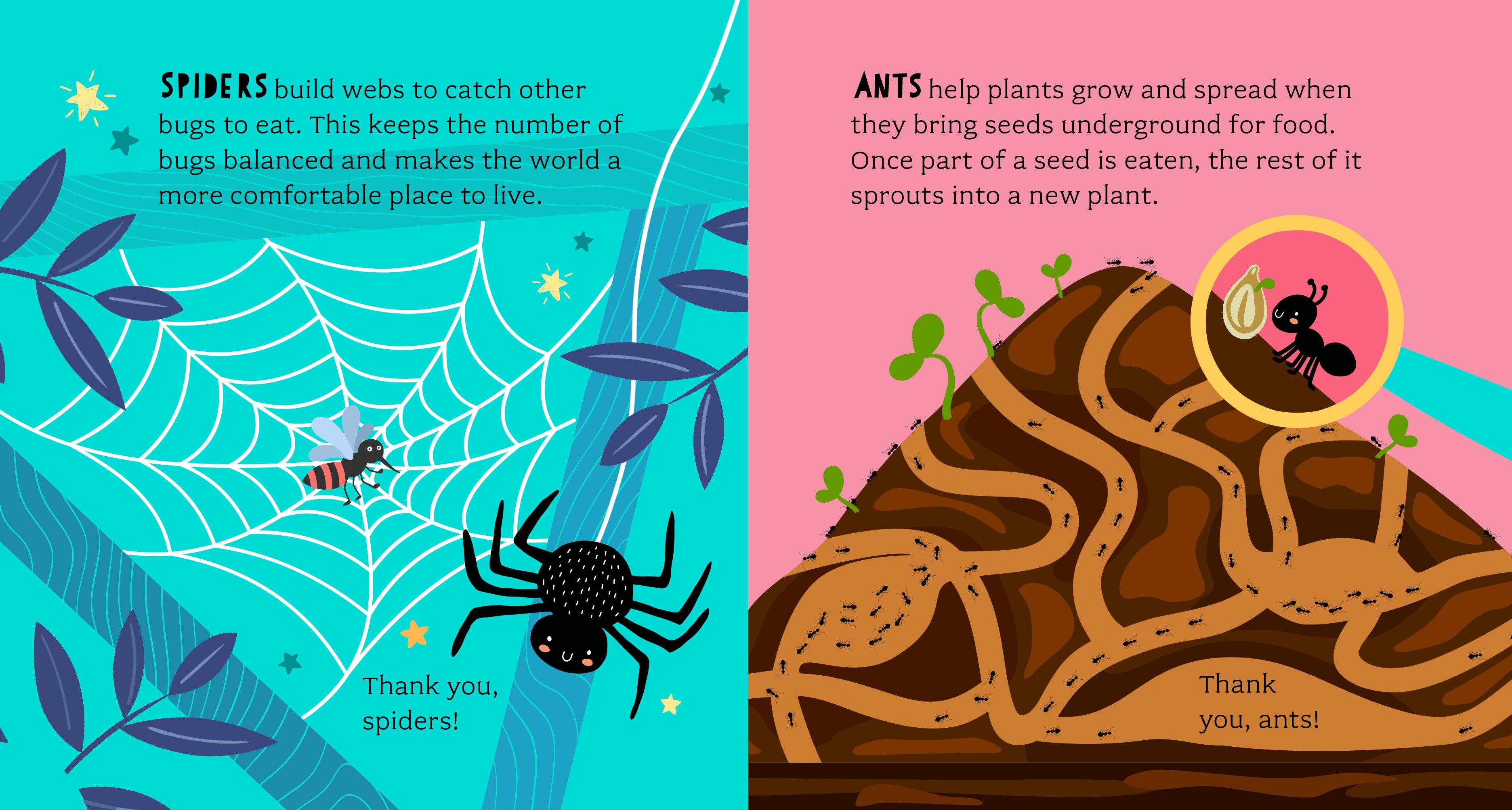 Bushel & Peck Books - Wholesale Baby & Toddler Book (0-2) - Bathtub Genius: Let's Learn About Bugs7