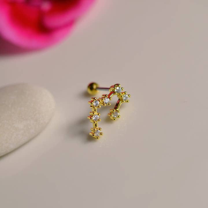 StockJWL - Wholesale Stud/Post Earrings - 12 Zodiac Earrings, Constellation Stud Earring Stud Piercing Tragus Helix Lobe and Cartilage Silver And Gold9