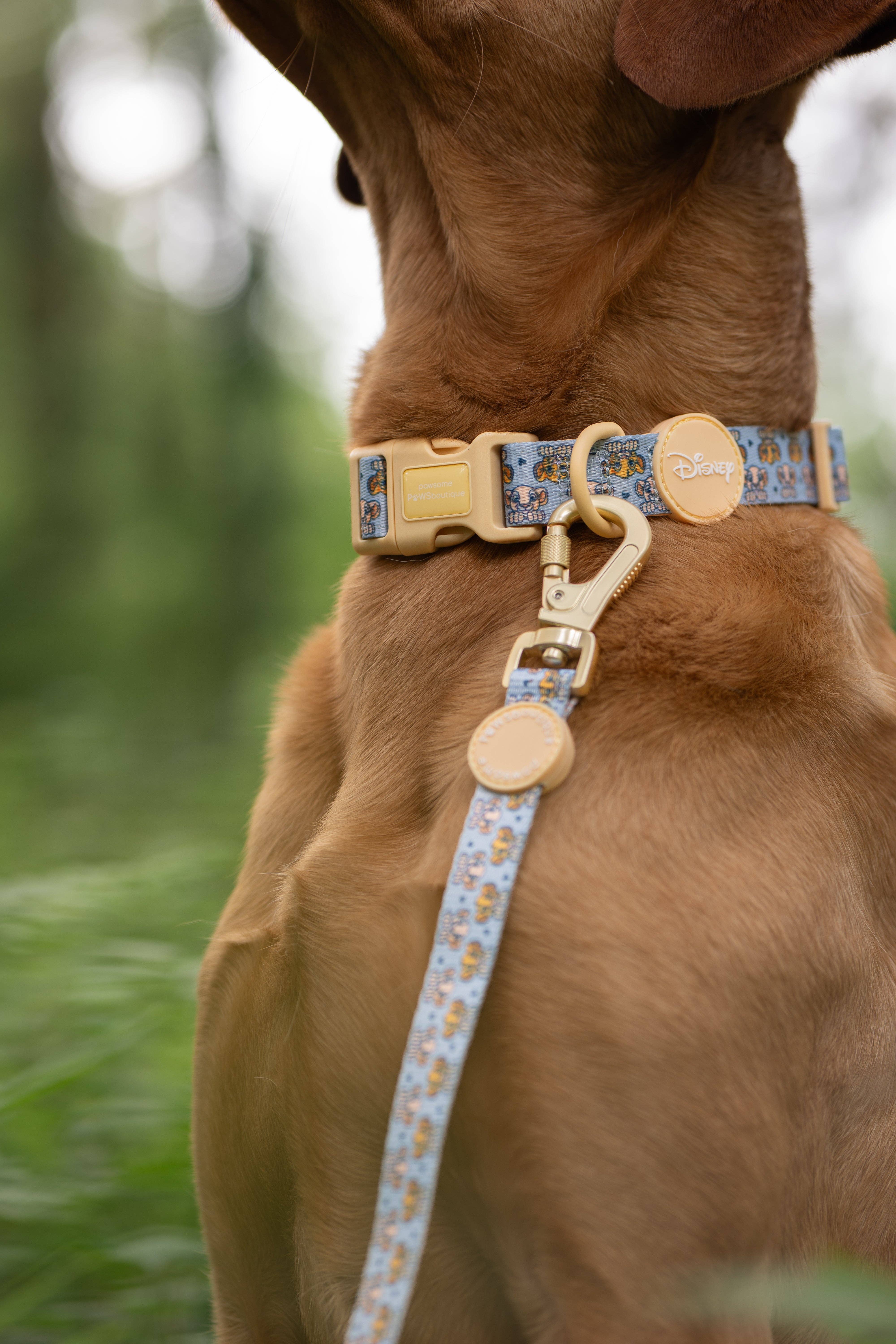 Pawsome Paws - Wholesale Pet Leash - Dog - Disney© Lead - Lion Friends4