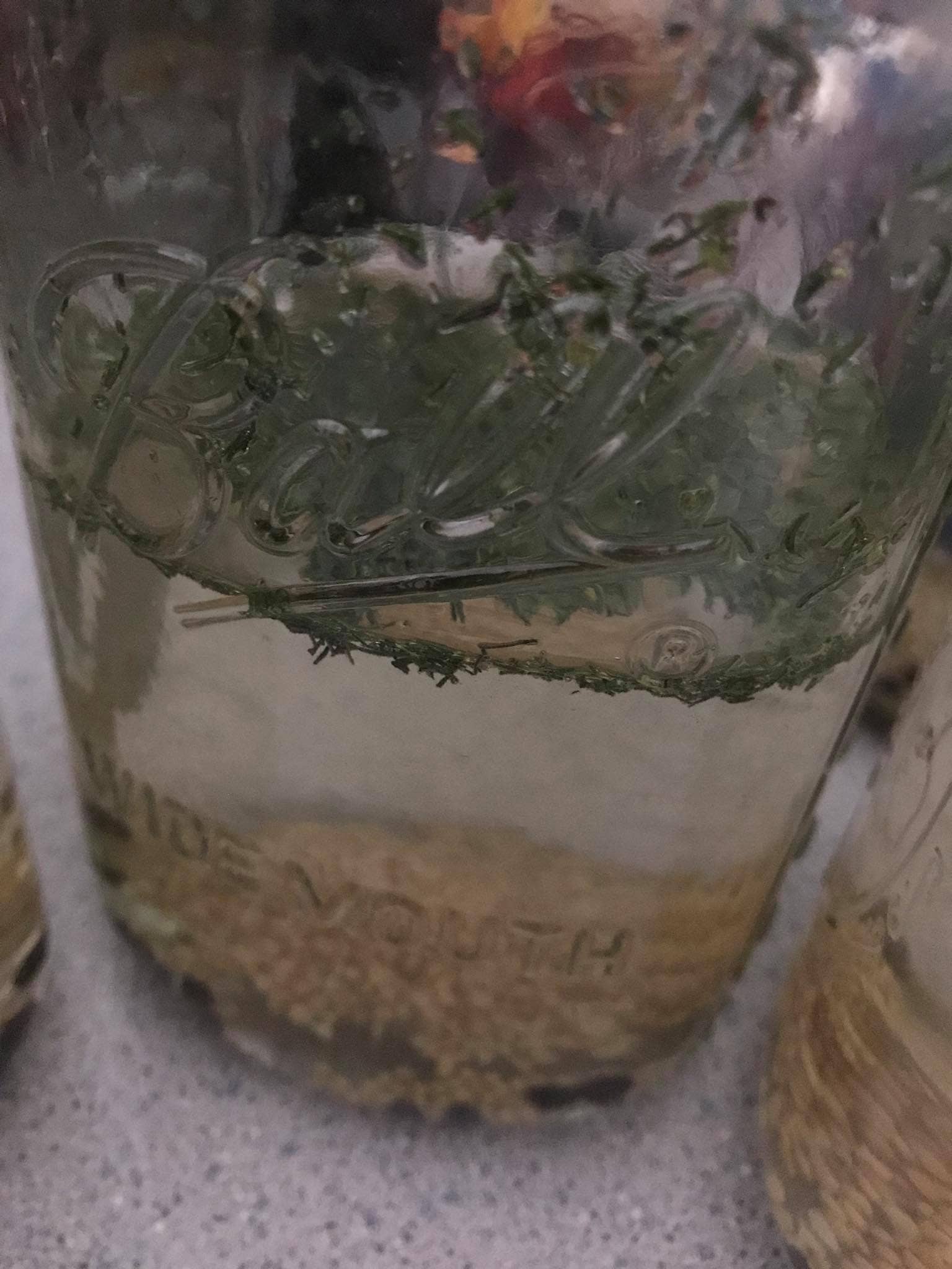 SnS Dips - Vente Mélanges d'épices séchées - Mélange de cornichons à l'aneth4