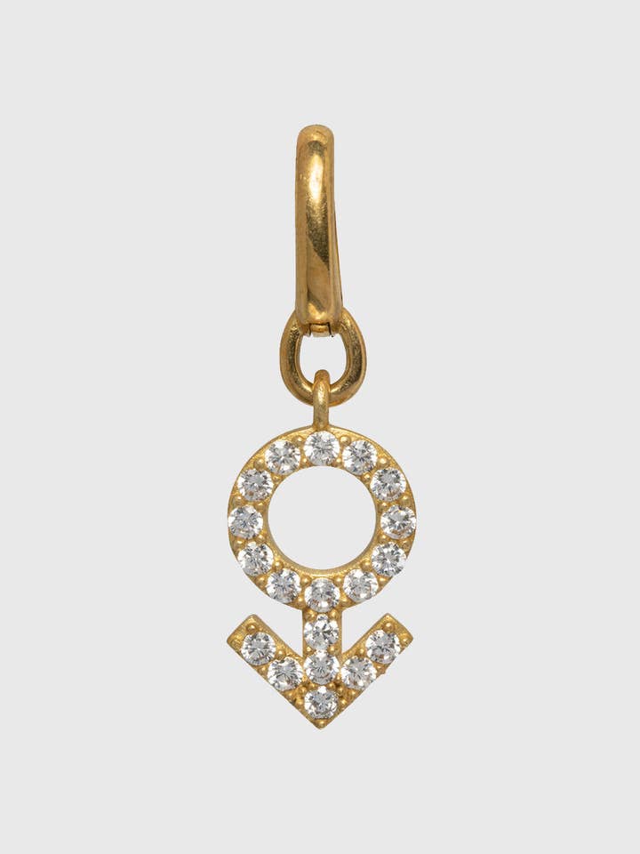 Mandlig charme - Mars-tegnet | Til din hund for wholesale by Unleash Copenhagen