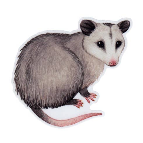 Opossum Vinyl Animal Sticker for wholesale by Kate Dolamore Art