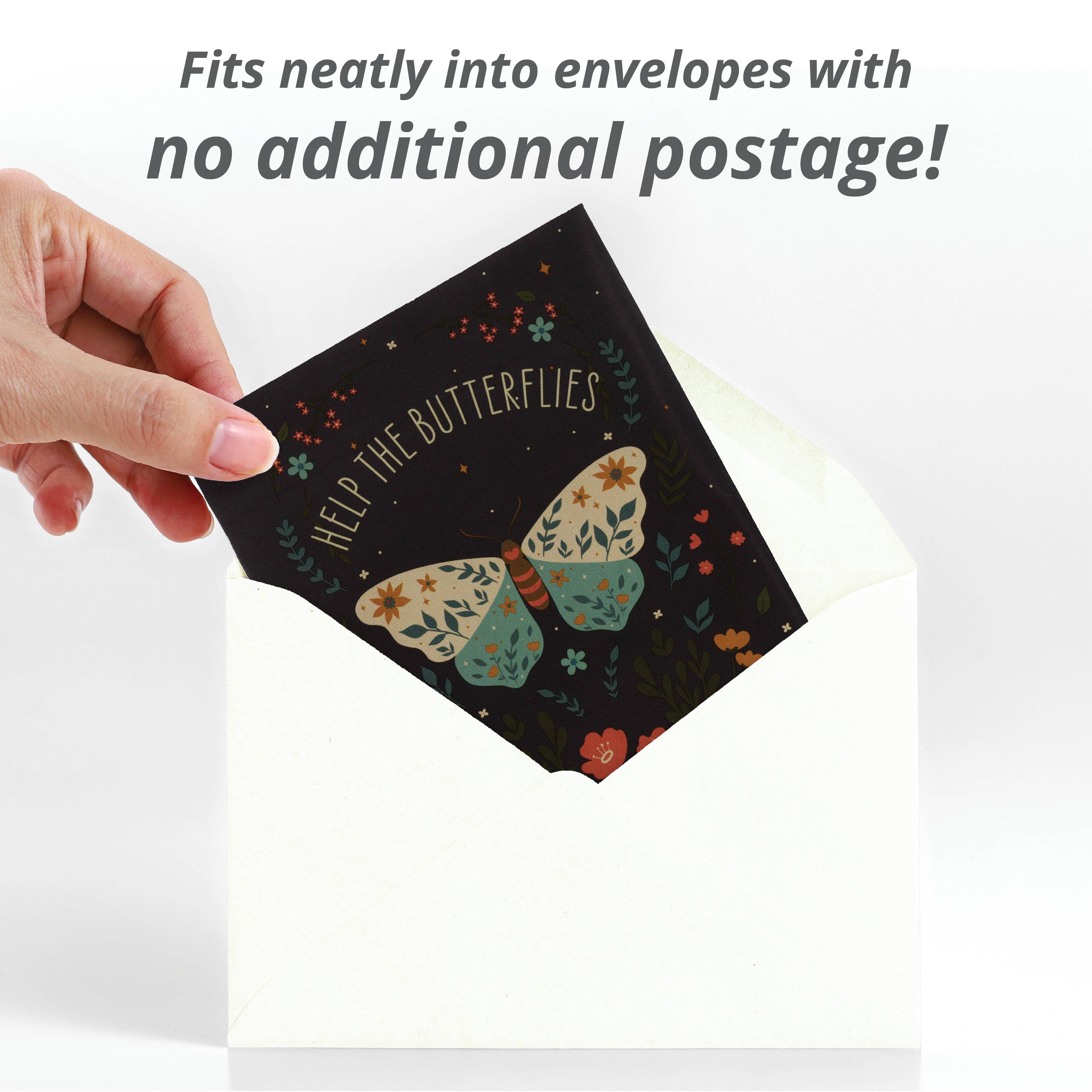 Bentley Seed Co. - Vente Graines de plantes - Aidez les papillons, aidez les pollinisateurs - Paquets de graines de fleurs sauvages pour pollinisateurs5