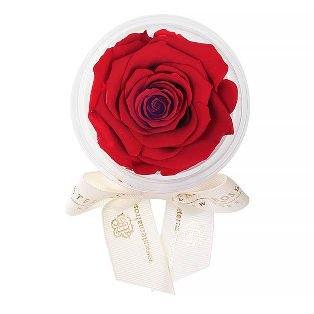 Eternal Roses® - Wholesale Party Favor - Eternal Rose Party Favors33