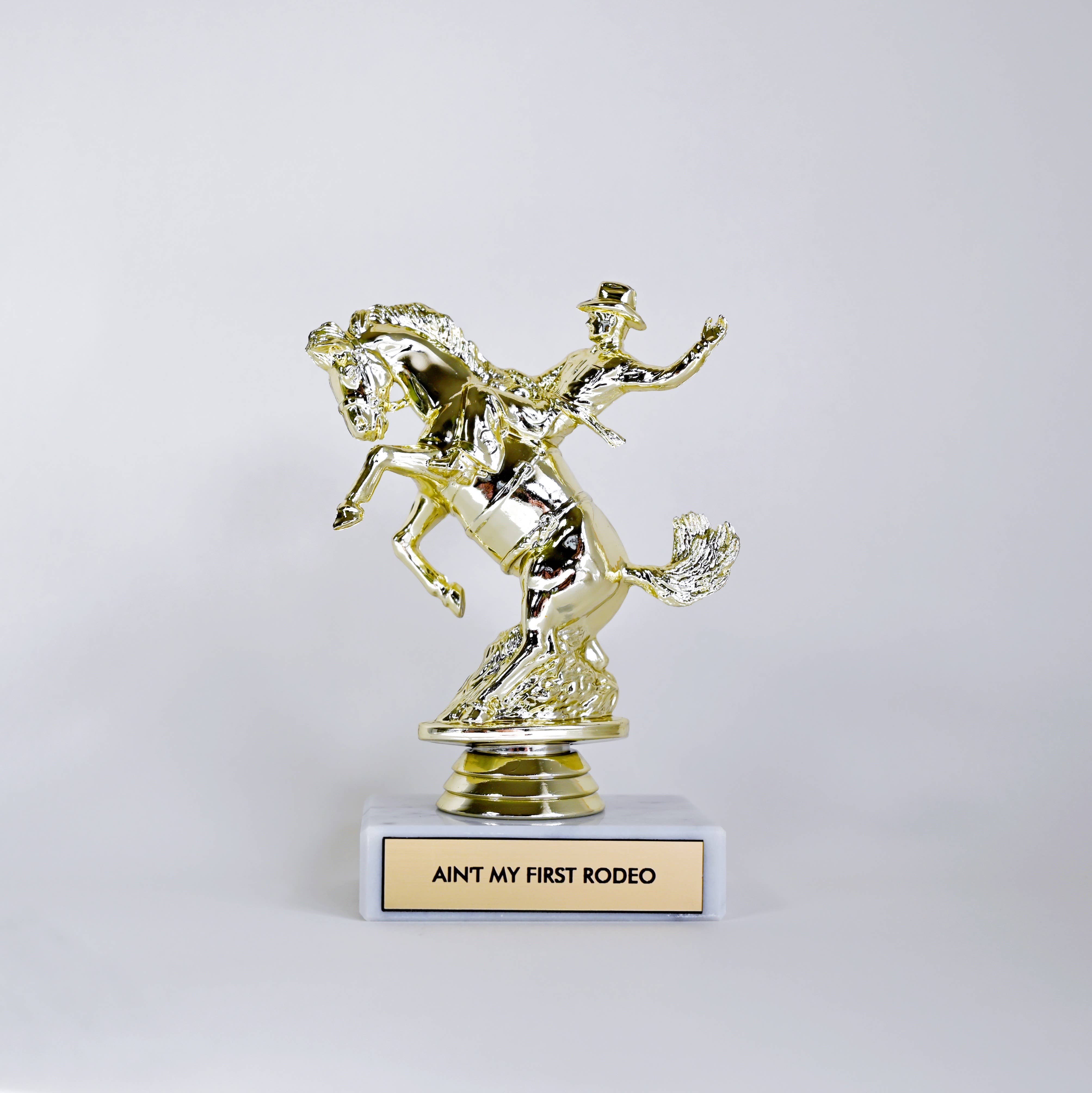 Johnny and June - Wholesale Decorative Figurine - Ain't My First Rodeo Trophy