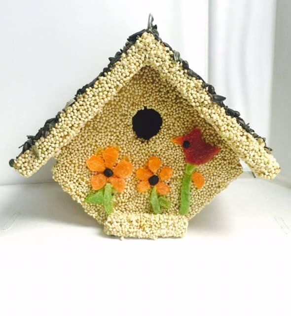 Mr Bird - Wholesale Bird House - Spring Fruit Casita1