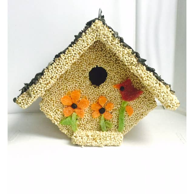 Mr Bird - Wholesale Bird House - Spring Fruit Casita1
