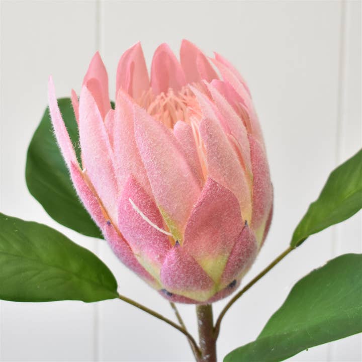 David Christopher's Collection - Wholesale Artificial Flowers - Protea Spray 22” - Pink