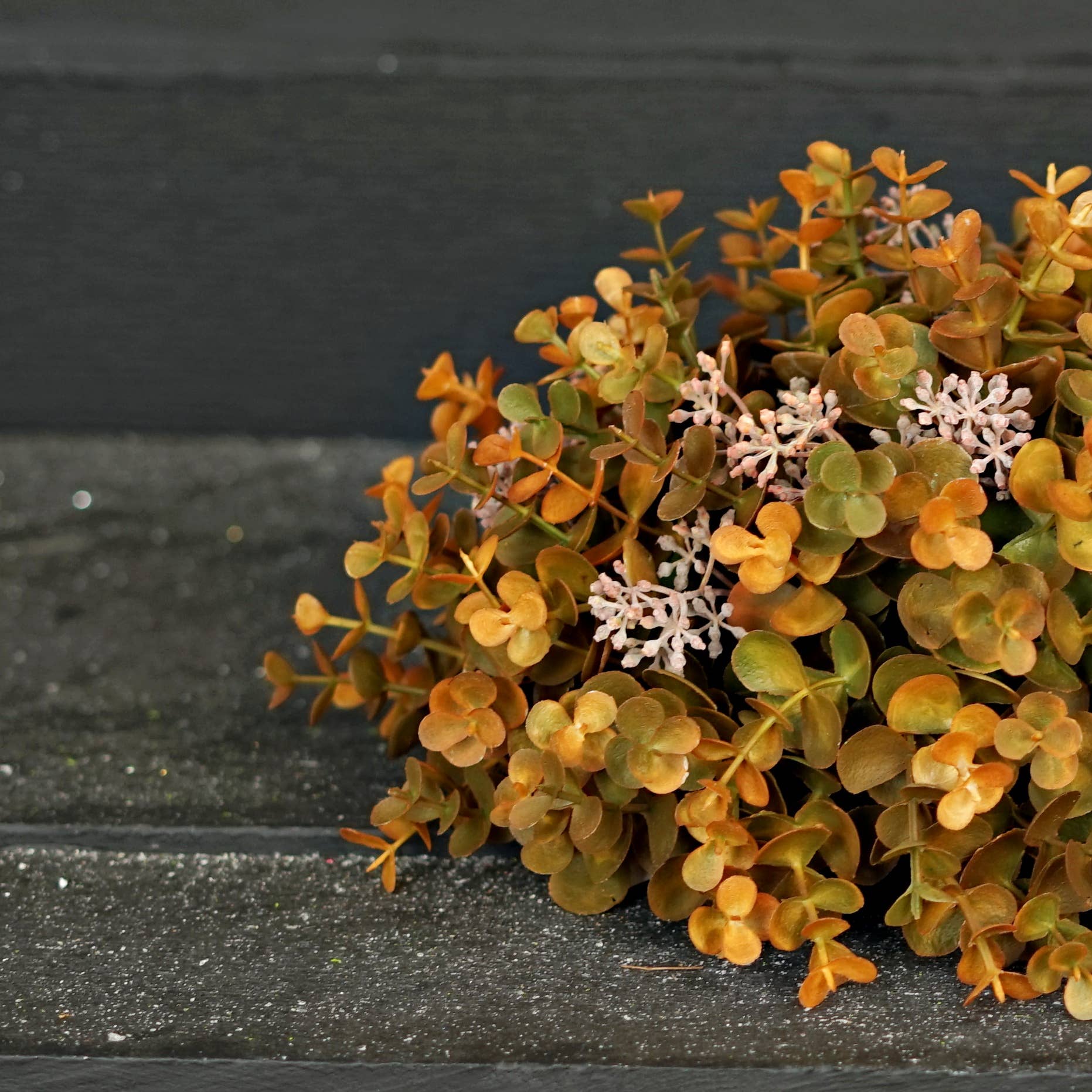 Impressive Enterprises, Inc. - Wholesale Artificial Flowers - 530106- Half Sphere-12inDx6inH-Fall Mix Seeded Eucalyptus-5