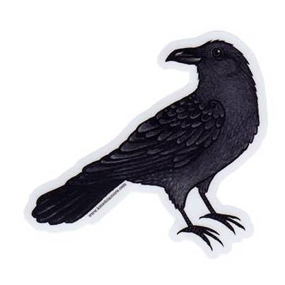 Raven Vinyl Bird Sticker for wholesale by Kate Dolamore Art
