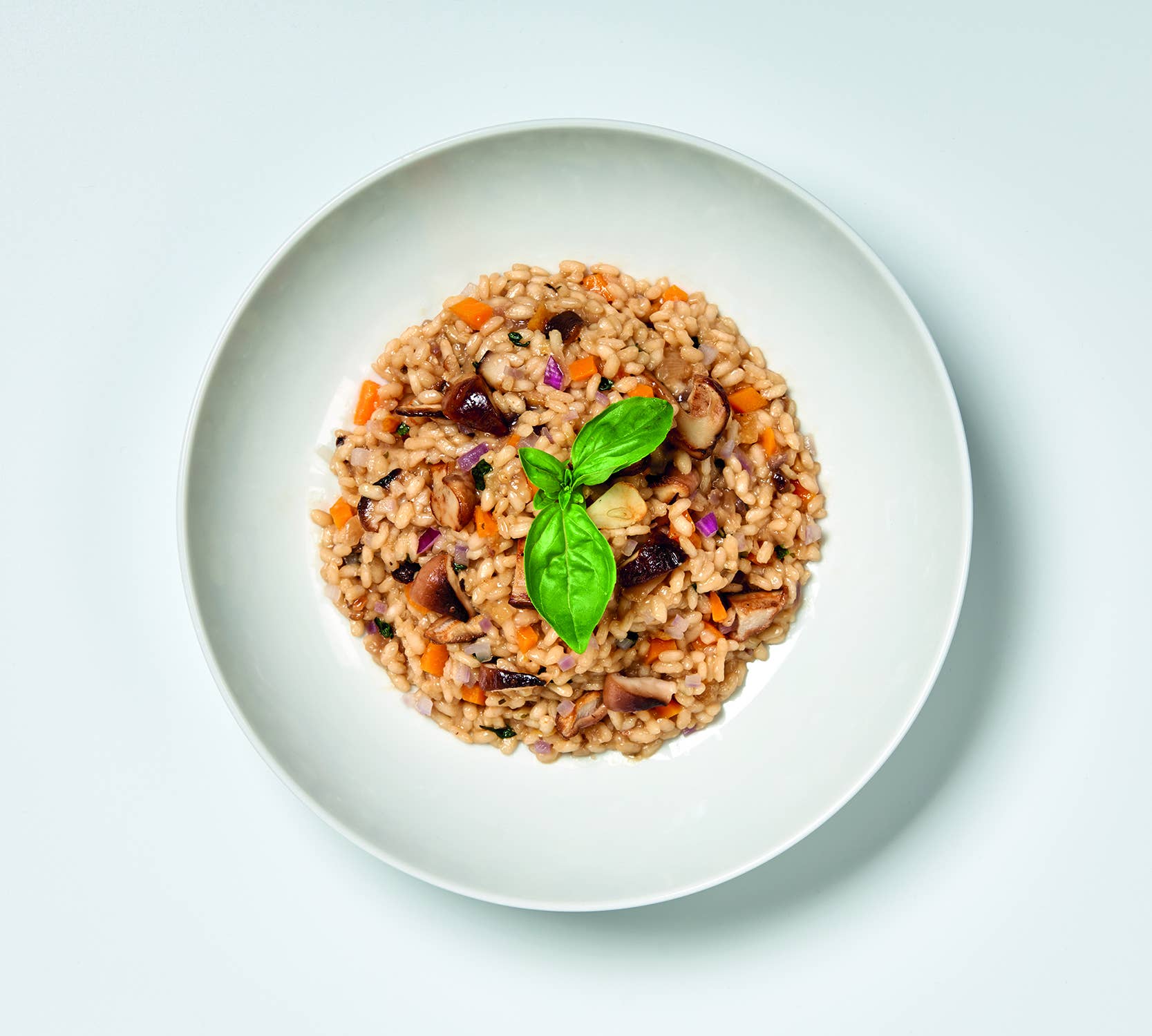 Trevijano - Vendita all'ingrosso Risotto - Risotto vegan con shiitake e porcini 280 g - pasto pronto1