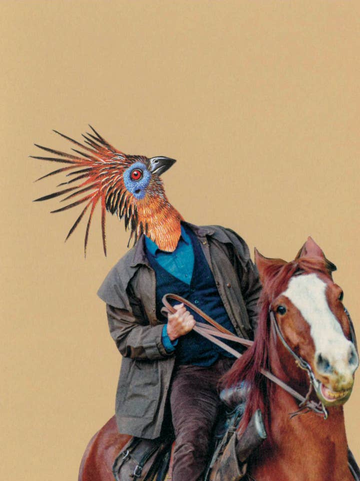 Exotic Bird on Horse for wholesale by Rare Bird