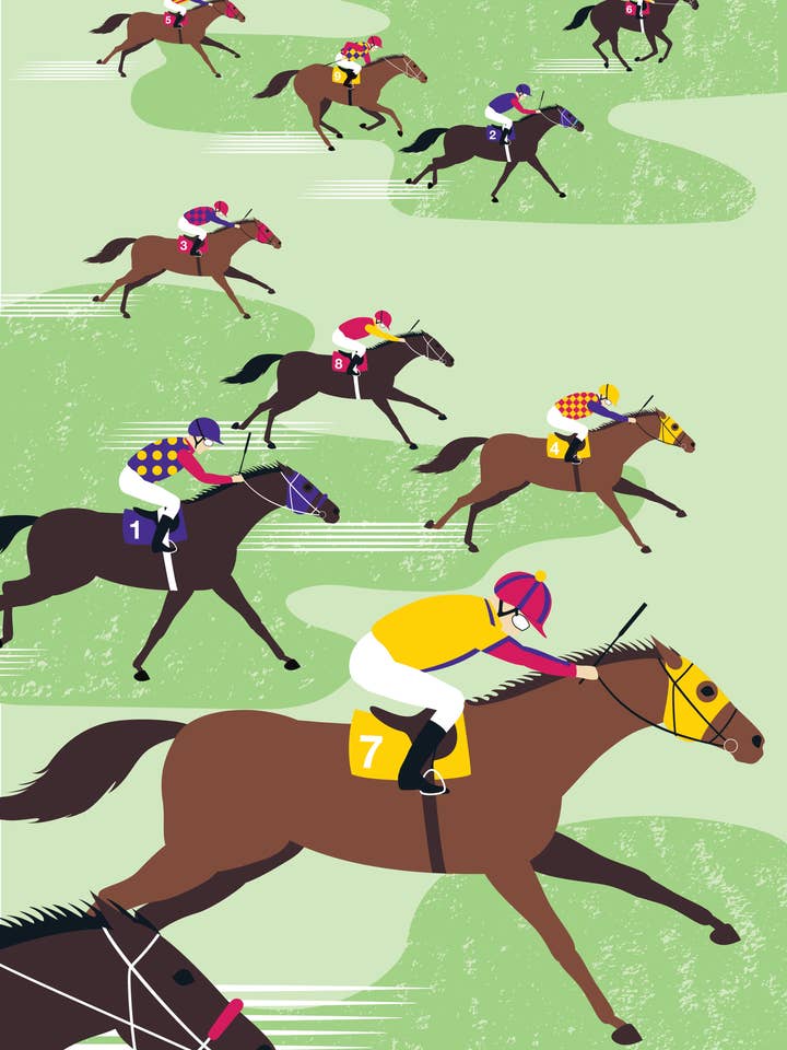 Kökshandduk - Tävlingshästar för wholesale av Allgifts Australia